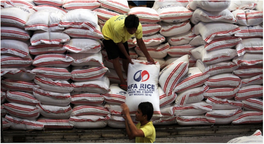 Việt Nam trúng thầu xuất khẩu hơn 100.000 tấn gạo sang Philippines