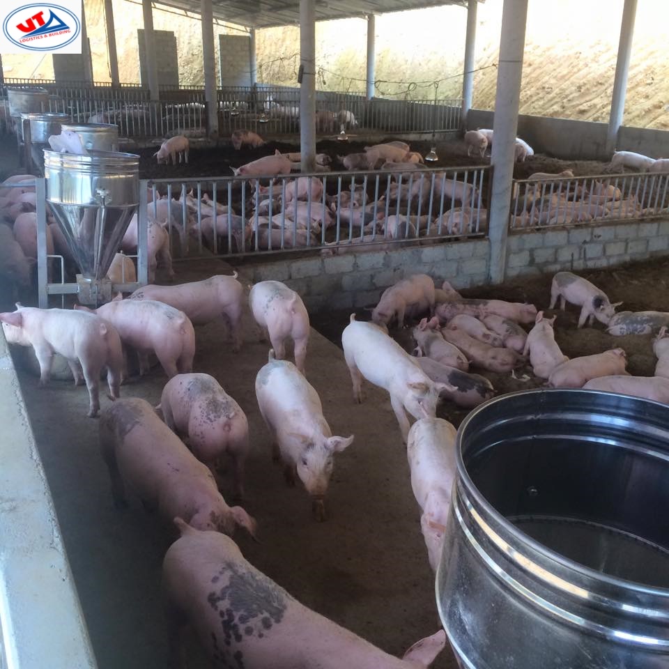 THỊ TRƯỜNG CHĂN NUÔI NGÀY 10/05/2019