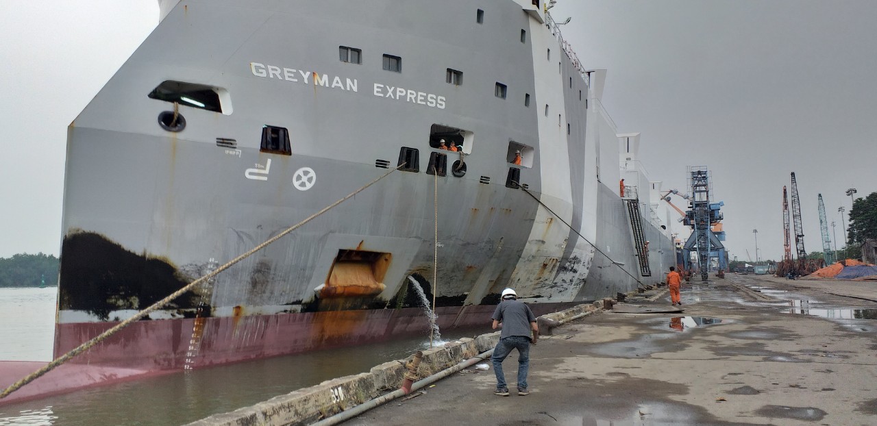 Hai tầu bò Úc Greyman và Girolando cập cảng HP