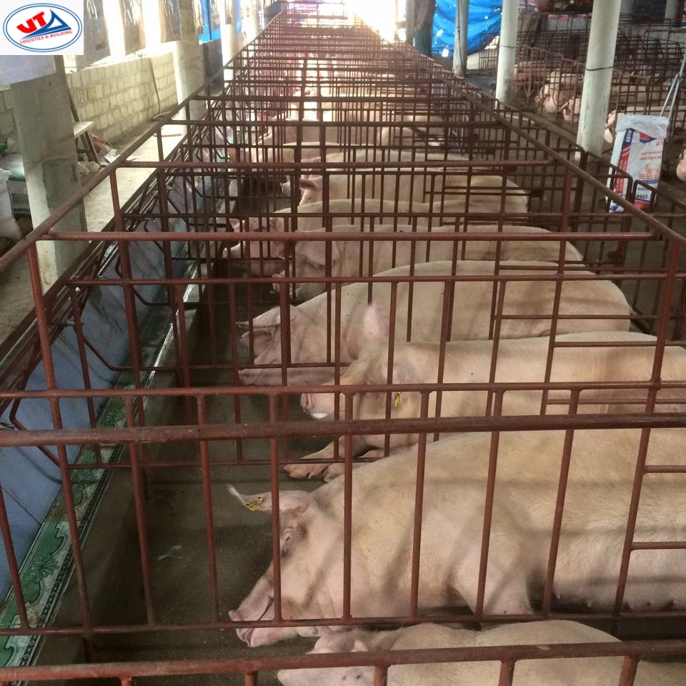 THỊ TRƯỜNG CHĂN NUÔI NGÀY 03/06/2020