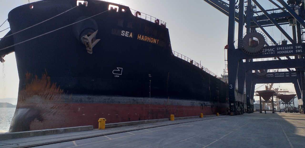 SEA HARMONY và JO JI MARU ngô cảng Cái Lân