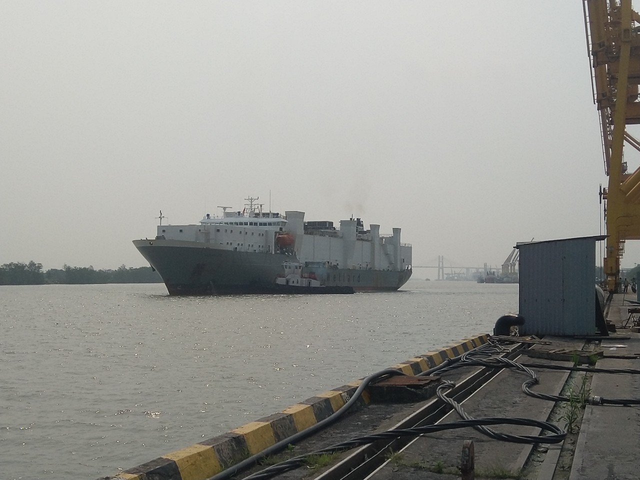 Tàu bò úc OCEAN UTE cảng Chùa Vẽ