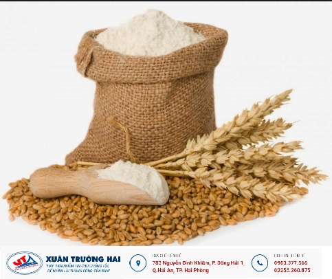 THỊ TRƯỜNG THỨC ĂN CHĂN NUÔI NGÀY 09/05/2018