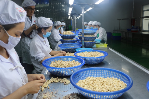 Chiến tranh thương mại Mỹ tác động gì tới nông sản Việt?