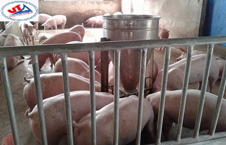 THỊ TRƯỜNG CHĂN NUÔI NGÀY 09/04/2020